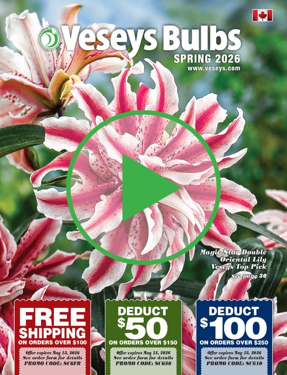 2026 Spring Catalogue